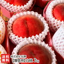 【贈答用】白桃 2kg(6~8玉 ※玉数・品種のご指定はお受けできません) 株式会社 松栗 山形直送計画 果物 フルーツ もも モモ ピーチ あかつき いけだ 川中島白桃 山形県 生産者直送 お取り寄せ ギフト プレゼント 贈り物 送料無料