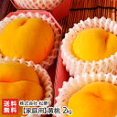 【家庭用】黄桃 2kg(6~8玉 ※玉数・品種のご指定はお受けできません) 株式会社 松栗 山形直送計画 果物 フルーツ もも モモ ピーチ スイート光黄 黄金 山形県 生産者直送 お取り寄せ 送料無料