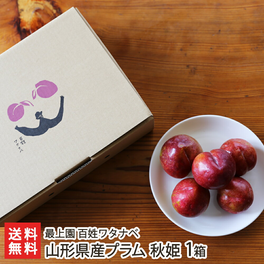 山形県産プラム（すもも）秋姫 1箱（約1.2kg） 最上園 百姓ワタナベ 産地直送 送料無料【代金引 ...