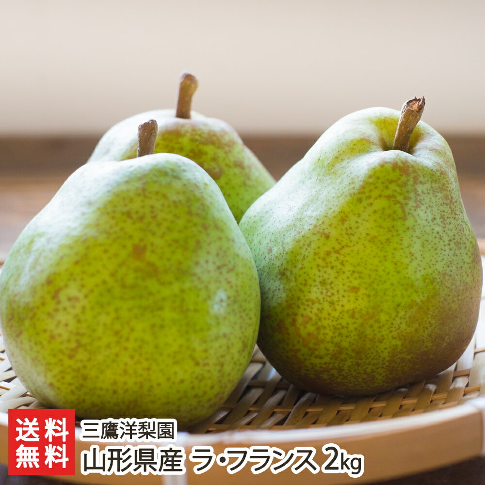 顦ե2kg67̡˻໺ľ̵ڻľײΤбե롼ΤʤΥʥϷޡ