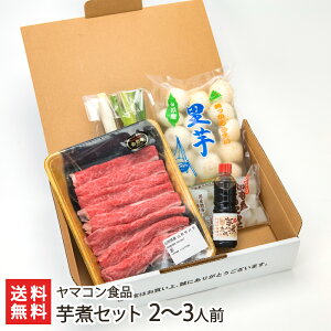 芋煮セット 2〜3人前（里芋500g・牛肉200g・こんにゃく250g 各1パック・ネギ1本・タレ100ml×1本） ヤマコン食品 生産者直送 送料無料【代金引換決済不可】【山形直送計画 いもに さといも サトイモ 山形牛 コンニャク 蒟蒻 ねぎ 葱 ソウルフード おかず 山形産】