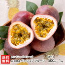 山形県産 パッションフルーツ 選べる 500g(5個〜6個) 〜 1kg(8個〜11個) ハンドレッドベリーズ 山形直送計画 果物 トロピカル 南国 有機肥料 ...