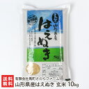 【令和5年度米】山形県産 はえぬき 玄米10kg（5kg×2袋） 有限会社馬町さくらファーム 産地直送 送料無料【山形直送計画 ハエヌキ ライス 特A 粒揃い 粒立ち ふっくら 濃厚】お歳暮ギフトにも！