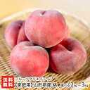 家庭用 山形県産 桃 選べる 2kg 〜3kg フルーツクリエイティブ 山形県産 産地直送 山形直送計画 フルーツ もも モモ ジューシー 化粧箱 河北町 山形...