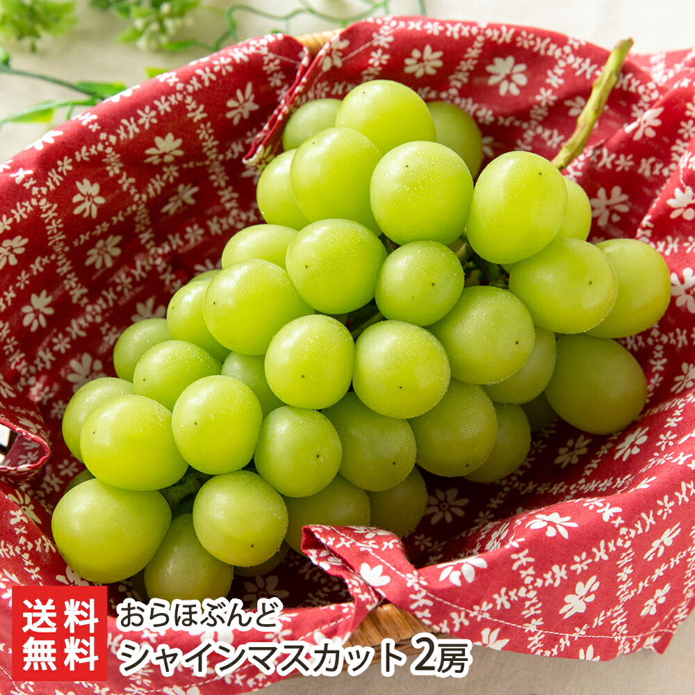 楽天市場】シャインマスカット ボンボン(食品)の通販 楽天市場】シャインマスカット ボンボン(食品)の通販