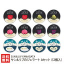 山形代表 サン&リブのジェラート Aセット(12個入) SUN&LIV YAMAGATA フルーツ ジェラート ミルク アイスクリーム ギフトセット 南陽市 山形産 生産者直送 お取り寄せ ギフト プレゼント 贈り物 送料無料(4)