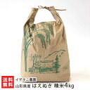 【令和5年度米】山形県産 はえぬき 精米4kg（2kg×2袋） イゲタニ農園 【ライス/うるち米/白米/有機質肥料】【お土産/手土産】【送料無料】お歳暮ギフトにも！