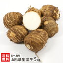 山形県産 里芋 5kg あべ農場 里いも さといも サトイモ ねっとり なめらか ほくほく 芋煮 芋煮会 煮物 ふかし芋 煮っころがし 真室川町 生産者直送 お取り寄せ ギフト プレゼント 贈り物 送料無料