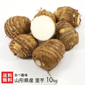 山形県産 里芋 10kg あべ農場 里いも さといも サトイモ ねっとり なめらか ほくほく 芋煮 芋煮会 煮物 ふかし芋 煮っころがし 真室川町 生産者直送 お取り寄せ ギフト プレゼント 贈り物 送料無料