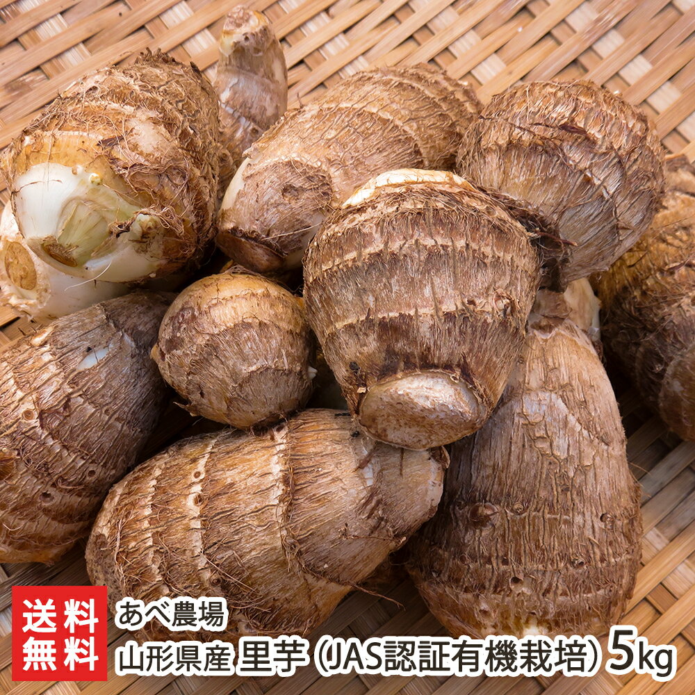 JAS認証有機栽培（無農薬・無化学肥料）山形県産 里芋 5kg あべ農場【山形直送計画 里いも さといも サトイモ ねっとり なめらか ほくほくふかし芋 煮物 鍋】【送料無料】