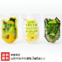 山形やおやの漬物 3種6袋入り(からしきゅうり漬×2袋、わらびきゅうり漬×2袋、ゆずだいこん漬×2袋) 桝屋商店 【八百屋 漬け物 新鮮 野菜 キュウリ 胡瓜 ...