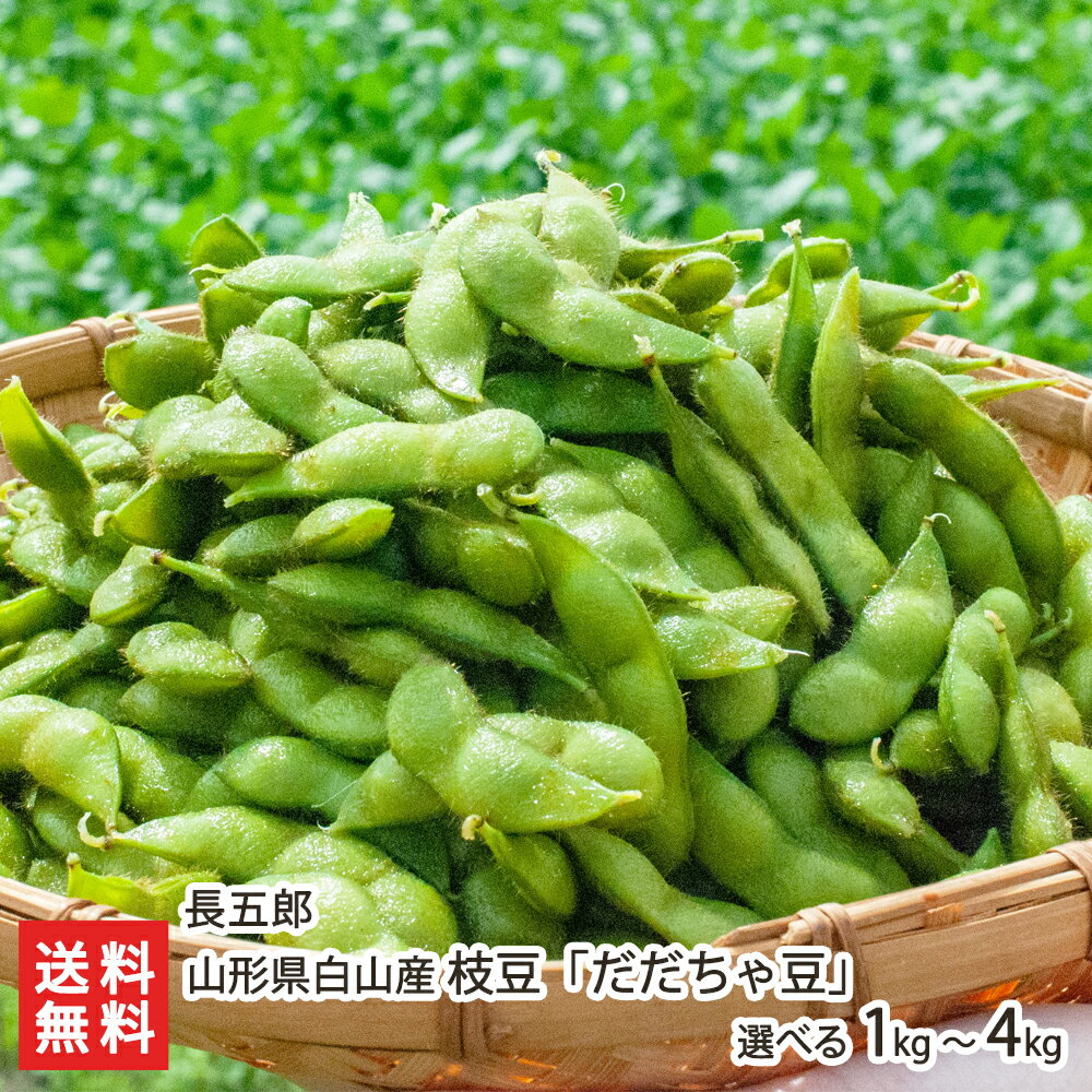 山形県 白山産 枝豆「だだちゃ豆」 選べる 1kg 〜 4kg 長五郎 山形直送計画 鶴岡市 白山地区 減農薬栽培 エコファーマー 茶豆 えだまめ エダマメ えだ豆 だだちゃまめ おつまみ 生産者直送 お取り寄せ ギフト プレゼント 贈り物 代金引換決済不可 送料無料のサムネイル
