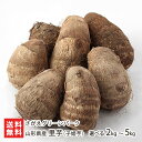 山形県産 里芋(子姫芋)選べる 2kg 〜 5kg さがえグリーンパーク 山形産 山形直送計画 里いも さといも サトイモ 芋煮 こひめいも コヒメイモ 山形県...