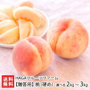 【贈答用】山形県産 桃 ( 硬め ) 2kg 〜 3kg HAGAフルーツファーム 山形産 山形直送計画 フルーツ もも ピーチ 山形 盆地 寒河江市 山形県 ...