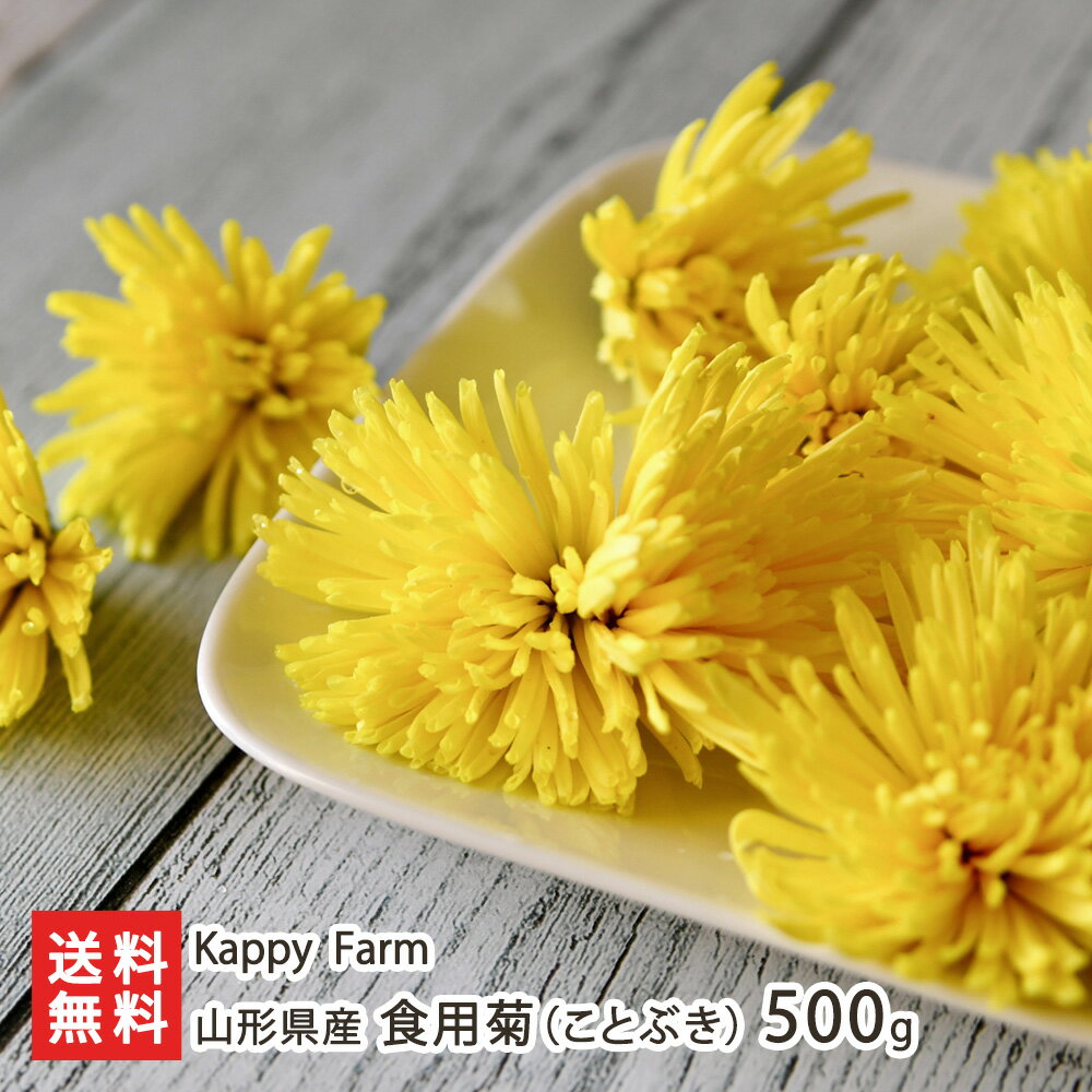 山形県産 食用菊（ことぶき）500g Kappy Farm 食用ぎく 寿 黄菊 おひたし 酢の物 伝統野菜 ほのかな苦み 山形県 生産者直送 お取り寄せ ギフト プレゼント 贈り物 送料無料のサムネイル