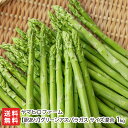 【訳あり】グリーンアスパラガス サイズ混合 1kg ヤマヒロファーム アスパラ 有機質肥料 堆肥 新鮮 グルメ 山形県 生産者直送 お取り寄せ 送料無料