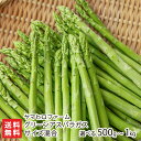 山形県産グリーンアスパラガス サイズ混合 選べる 500g 〜 1kg ヤマヒロファーム アスパラ 有機質肥料 堆肥 新鮮 グルメ 山形県 生産者直送 お取り寄...