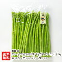 グリーンアスパラガス「成パラガス プレミアム」 1kg 選べる S~Mサイズ or L~2Lサイズ 農園成 野菜 アスパラ 山形産 米沢市 山形県 生産者直送 ...