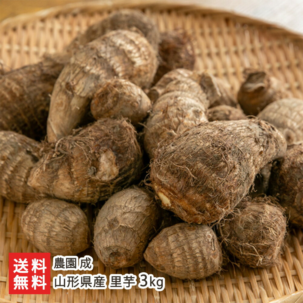 楽天市場】里芋 種芋 土垂の通販 楽天市場】里芋 種芋 土垂の通販