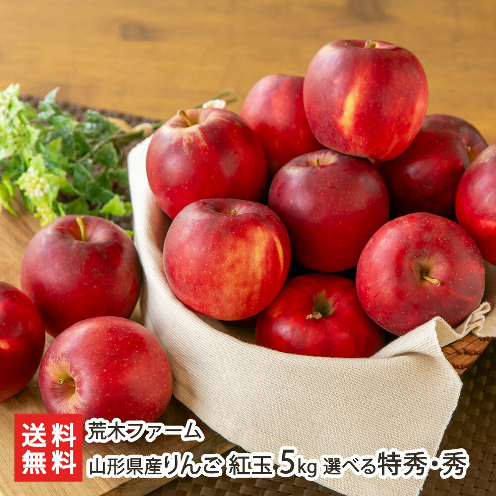 £ѻ󤴹ȶ5kg1825٤ýڥեӸե롼Ĳʪե롼ĥե繾Įľ󤻥եȥץ쥼£ʪ̵