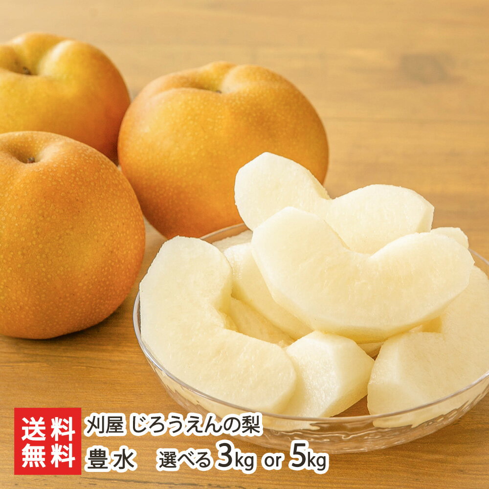 山形県産 梨「刈屋梨」 豊水 選べる 3kg（6〜8玉） or 5kg（10〜14玉） 刈屋 じろうえんの梨 ブランド梨 なし ナシ 和梨 フルーツ 果物 特産品 酒田市 刈屋地区 山形県 生産者直送 お取り寄せ ギフト プレゼント 贈り物 代金引換決済不可 送料無料のサムネイル