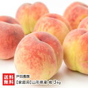 【家庭用】山形県産 桃 3kg(8〜12玉) 戸田農園 白桃 フルーツ もも モモ ジューシー 南陽市 山形県 生産者直送 お取り寄せ 代金引換決済不可 送料無...