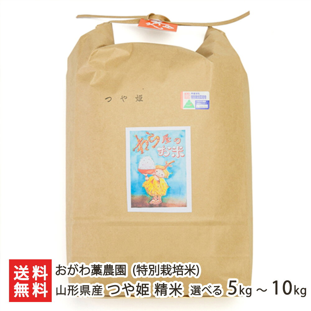 【令和7年度新米】 特