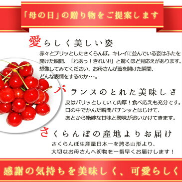 母の日 さくらんぼ 山形県産 ハウスさくらんぼ 佐藤錦・紅秀峰 Lサイズ 300g手詰 化粧箱入 【送料無料】 母の日 ギフト プレゼント 2019
