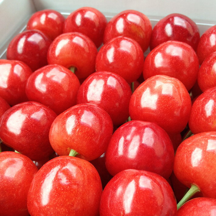くだもの >さくらんぼ >紅秀峰 くだもの >さくらんぼ >紅秀峰