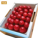 6月中旬~7月上旬ごろ 発送予定 山形県寒河江市幸生高原産 特選さくらんぼ 紅秀峰 450gバラ詰め(特秀Lー3L)【クール便】夏プレゼント お取り寄せ グルメ
