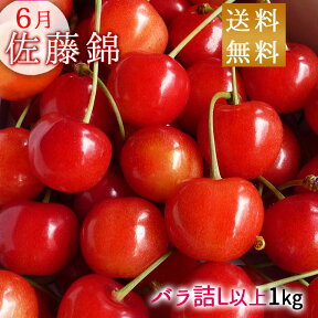 6月中旬～下旬お届け さくらんぼ 佐藤錦 山形県産1kg バラ詰め （L以上のサイズお任せ） 送料無料 お取り寄せ グルメ