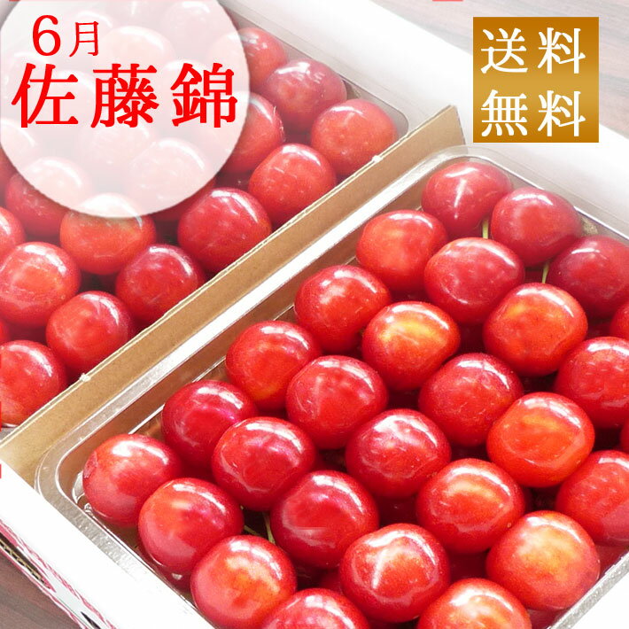 6月中旬～下旬お届け さくらんぼ 佐藤錦 山形県産秀L1kg手詰め 500g×2P 送料無料