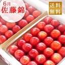 6月中旬〜末日お届け さくらんぼ 佐藤錦 山形県産 特秀L〜LL1kg詰 500g×2P 送料無料