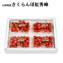 6月下旬〜7月上旬お届け 山形県産さくらんぼ 紅秀峰 家庭用 お徳用(L、M)(200g×4) (B-9)