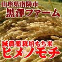 【山形県南陽市：黒澤ファーム】山形県産 減農薬栽培もち米ヒメノモチ 1kg【生産者直送のため同梱不可】