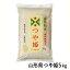 2023年度 令和5年度産 黒澤ファーム つや姫 5kg 生産者直送のため同梱不可 お米 山形県南陽市: