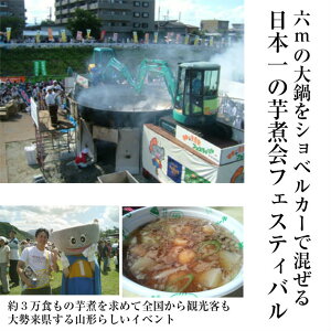 ハロウィンギフトプレゼント山形風しょうゆ味芋煮セット(4人前)【クール便】【宅配Box不可】【ラッピング不可】【送料無料】