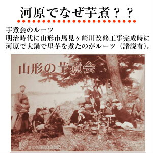 敬老の日ギフトプレゼント山形風しょうゆ味芋煮セット(4人前)【クール便】【宅配Box不可】【ラッピング不可】【送料無料】