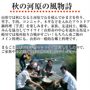 敬老の日ギフトプレゼント山形風しょうゆ味芋煮セット(4人前)【クール便】【宅配Box不可】【ラッピング不可】【送料無料】
