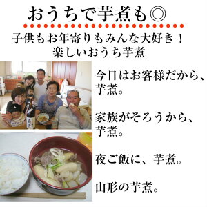 ハロウィンギフトプレゼント山形風しょうゆ味芋煮セット(4人前)【クール便】【宅配Box不可】【ラッピング不可】【送料無料】