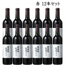 3/6頃入荷予定 赤ワイン 朝日町ワイン 無濾過秘蔵 赤辛口 720ml x12本セット GI YAMAGATA GI山形 山形ワイン 日本ワイン 国産ワイン 山形県産