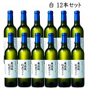 3/6頃入荷予定 白ワイン 山形朝日町ワイン 無濾過秘蔵 白 やや甘口 720ml x12本セット GI山 山形ワイン 日本ワイン 国産ワイン 山形県産