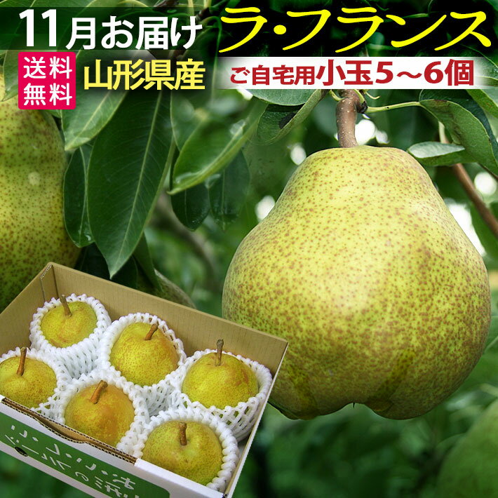 11月発送開始予定 御歳暮 山形県産 ラフランス食べ切りセット（秀L5～6個）フルーツ 送料無料 【 ...