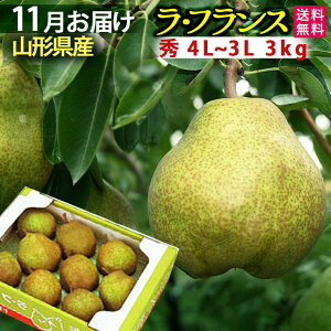 11月発送開始予定 お歳暮 山形県産 ラフランス 3kg 贈答用 秀4L〜3L 3キロ フルーツ 送料無料【北海道・中国・四国・九州・沖縄は送料+500円】