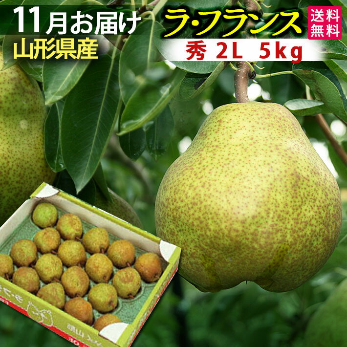 11月発送開始予定 お歳暮 山形県産 ラフランス 5kg 贈答用 秀2L 5キロ フルーツ 送料無料【北海道・中国・四国・九州・沖縄は送料+500円】