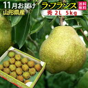 1月発送開始予定 お歳暮 山形県産 ラフランス 5kg 贈答用 秀2L 5キロ フルーツ 送料無料【 ...