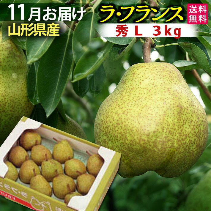 お歳暮 山形県産 ラフランス 3kg ご家庭用 秀L (3キロ) 送料無料【北海道・中国・四国・九州・沖縄は送料+500円】 帰省暮