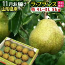 11月発送開始予定 お歳暮 山形県産 ラフランス 5kg 贈答用 秀4L~3L 5キロ フルーツ 送料無料【北海道・中国・四国・九州・沖縄は送料+500円】