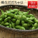 お取り寄せ 枝豆 おつまみ 山形県鶴岡市 9月お届け 晩生 だだちゃ豆 1800g(450g×4)エコファーマ認定 朝採り クール便 生産者直送のため同梱不可