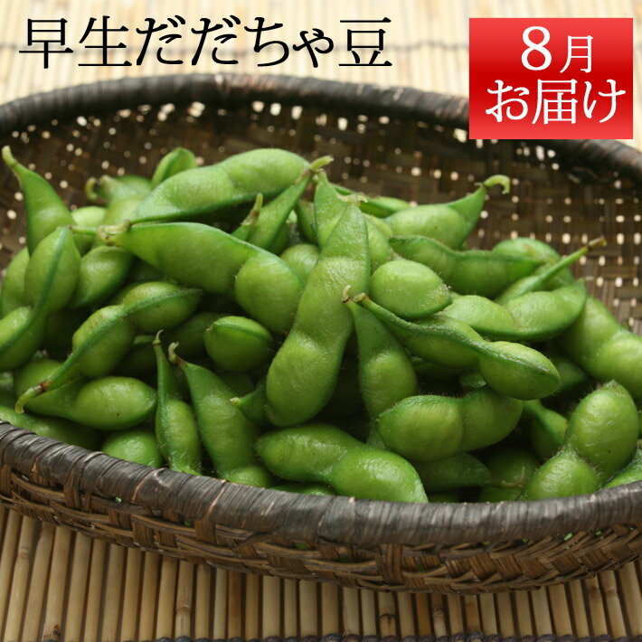 渵եȥץ쥼ȡܾᲬƦ1800g450g4˥եǧīΤƦ¨ؤȯľΤƱԲġۻƦβ͡渵̵